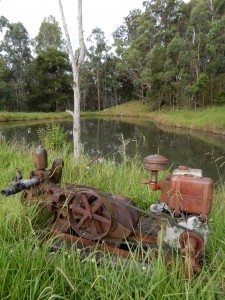 The diesel and its pump. Photograph Ian Hoskins 2016